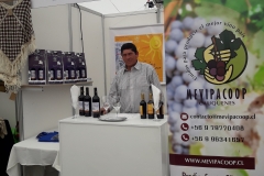 feria-2