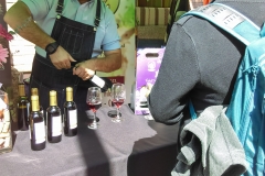 vendimia-curico-2